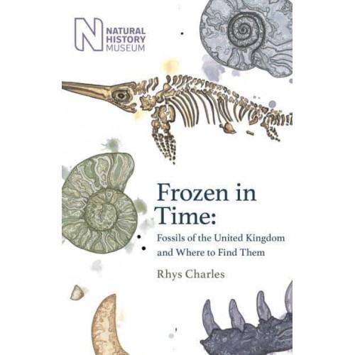 Frozen in Time Fossils of Great Britain and Where to Find Them