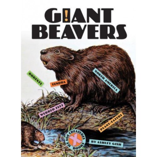 Giant Beavers - X-Books: Ice Age Creatures