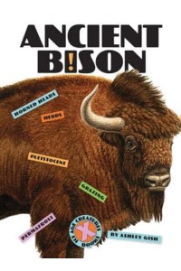 Ancient Bison - X-Books: Ice Age Creatures