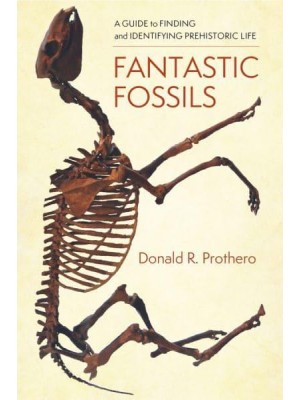 Fantastic Fossils A Guide to Finding and Identifying Prehistoric Life