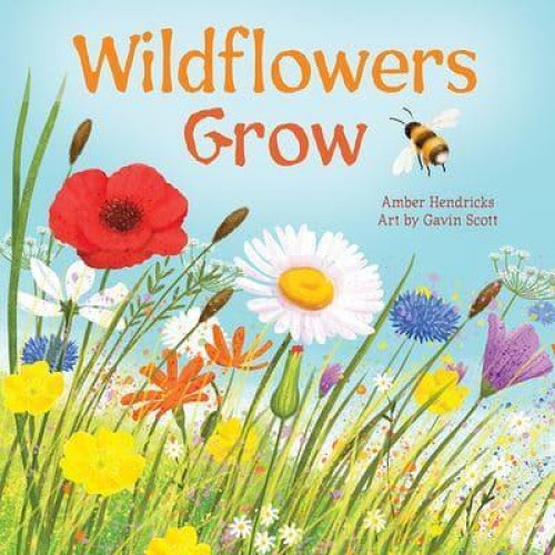 Wildflowers Grow - Little Nature Explorers