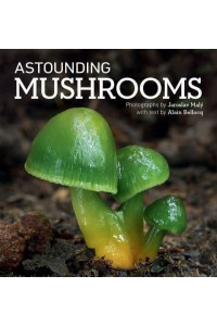 Astounding Mushrooms