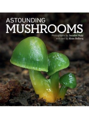 Astounding Mushrooms