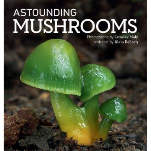 Astounding Mushrooms
