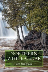 Northern White-Cedar The Tree of Life