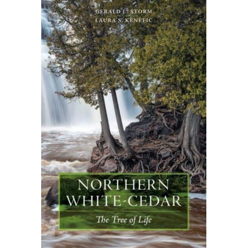 Northern White-Cedar The Tree of Life