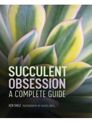 Succulent Obsession A Complete Guide