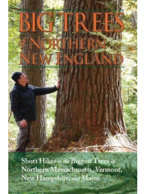 Big Trees of Northern New England