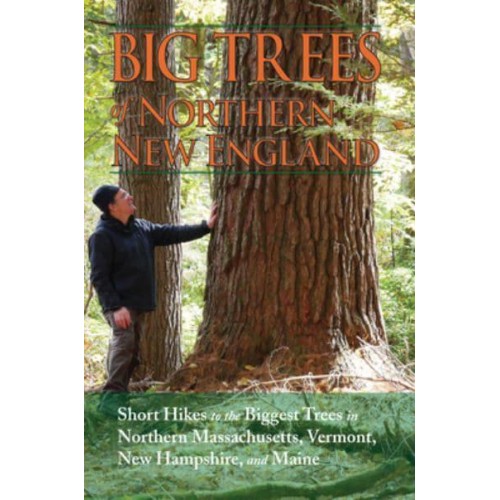 Big Trees of Northern New England
