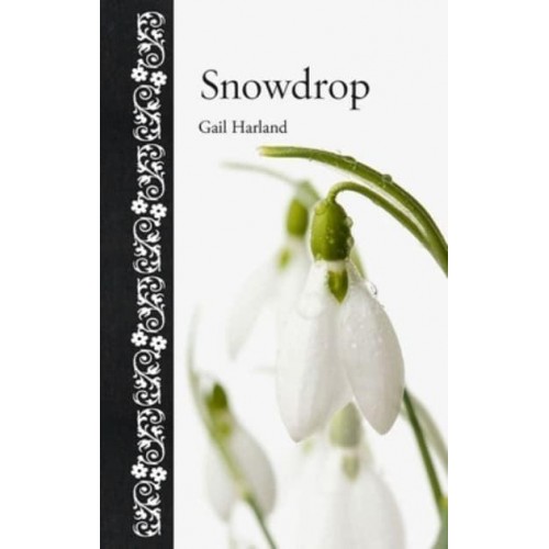 Snowdrop - Botanical