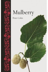 Mulberry - Botanical
