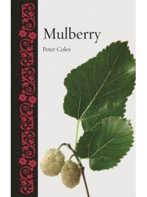 Mulberry - Botanical