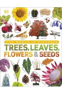 Trees, Leaves, Flowers & Seeds A Visual Encyclopedia of the Plant Kingdom