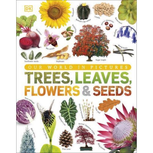 Trees, Leaves, Flowers & Seeds A Visual Encyclopedia of the Plant Kingdom