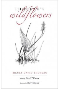Thoreau's Wildflowers