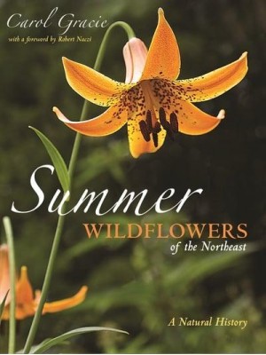 Summer Wildflowers of the Northeast A Natural History