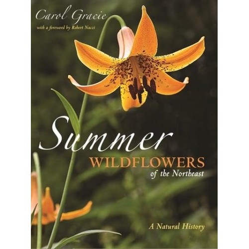 Summer Wildflowers of the Northeast A Natural History