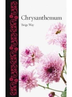 Chrysanthemum - Botanical