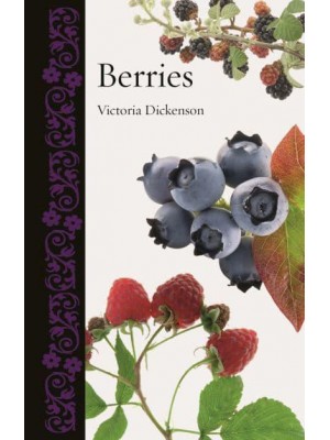 Berries - Botanical