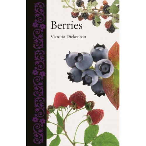Berries - Botanical