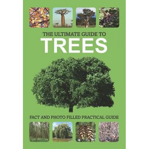Ultimate Guide to Trees