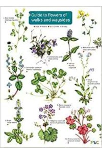Guide to Flowers of Walks and Waysides