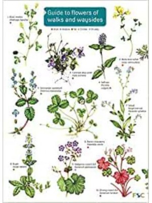 Guide to Flowers of Walks and Waysides