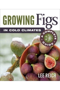 Growing Figs in Cold Climates A Complete Guide