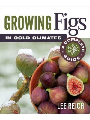Growing Figs in Cold Climates A Complete Guide