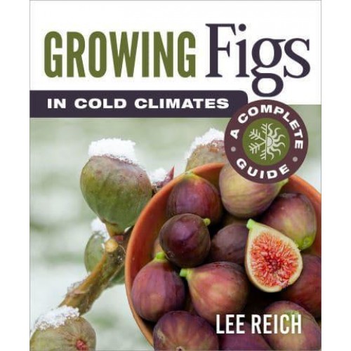 Growing Figs in Cold Climates A Complete Guide