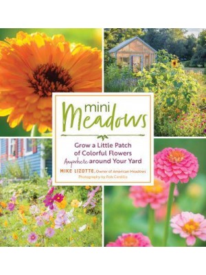 Mini Meadows Grow a Little Patch of Colorful Flowers Anywhere Around Your Yard