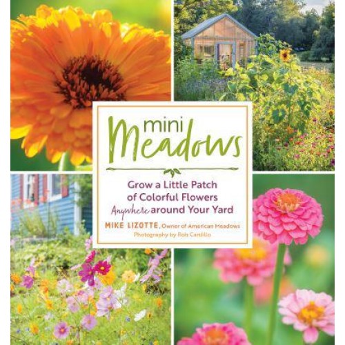 Mini Meadows Grow a Little Patch of Colorful Flowers Anywhere Around Your Yard