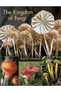 The Kingdom of Fungi