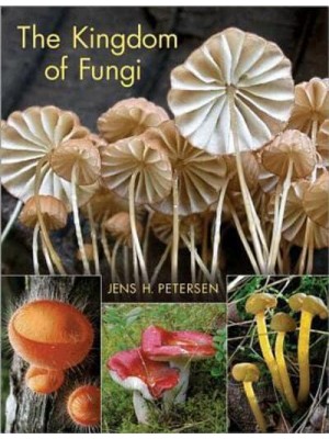 The Kingdom of Fungi