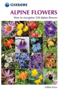 Alpine Flowers