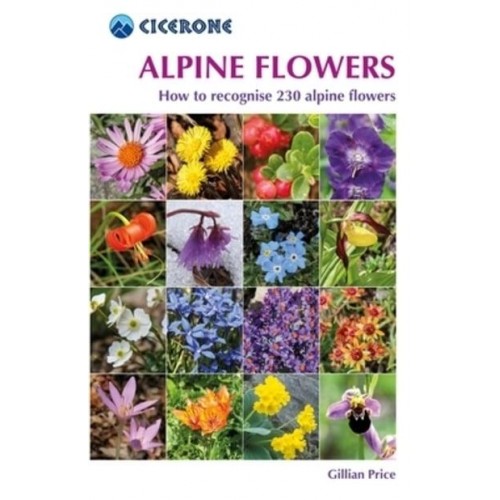 Alpine Flowers