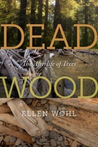 Dead Wood The Afterlife of Trees