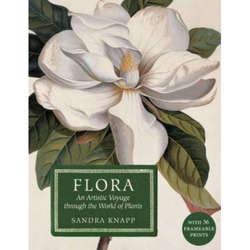 Flora An Artistic Voyage Through the World of Plants