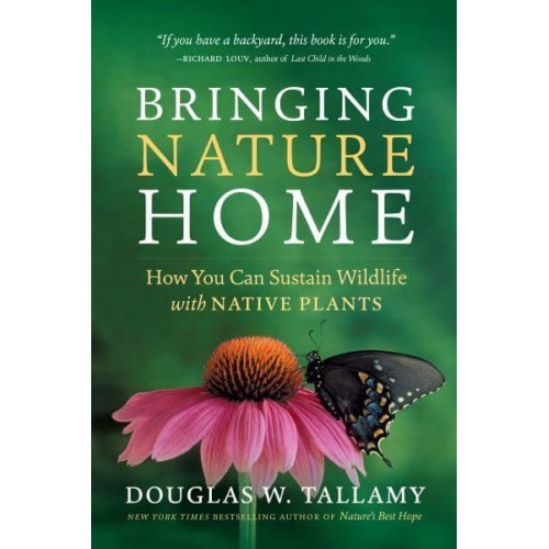Bringing Nature Home How You Can Sustain Wildlife With Native Plants