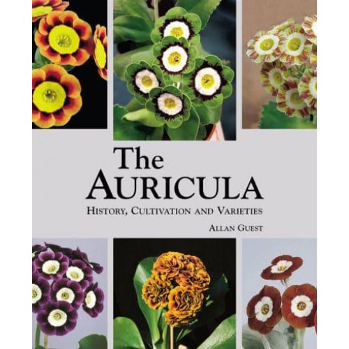 The Auricula History, Cultivation and Varieties - ACC Art Books