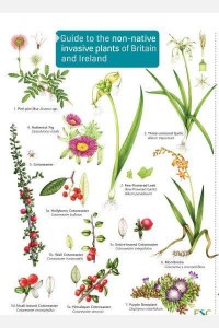 Guide to the Non-Native Invasive Plants of Britain and Ireland