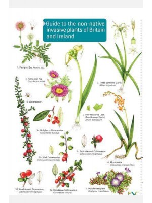 Guide to the Non-Native Invasive Plants of Britain and Ireland