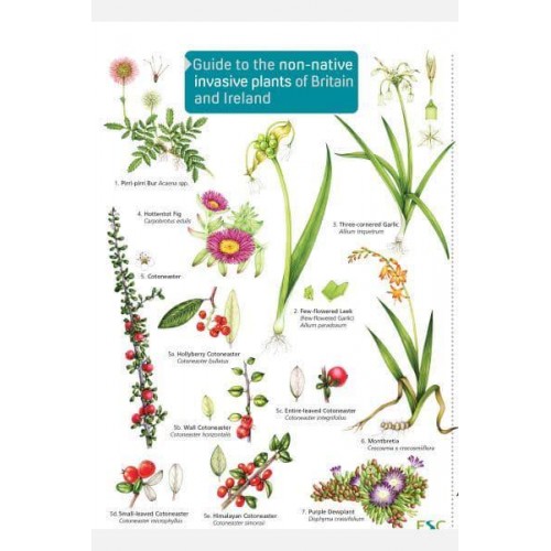 Guide to the Non-Native Invasive Plants of Britain and Ireland