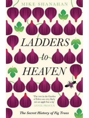 Ladders to Heaven