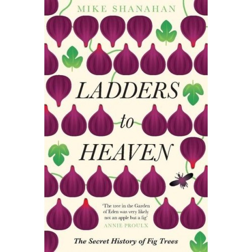 Ladders to Heaven