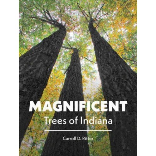 Magnificent Trees of Indiana