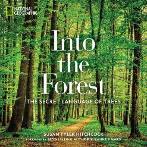 Into the Forest The Secret Language of Trees