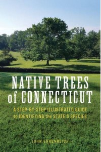 Native Trees of Connecticut A Step-by-Step Illustrated Guide to Identifying the State's Species