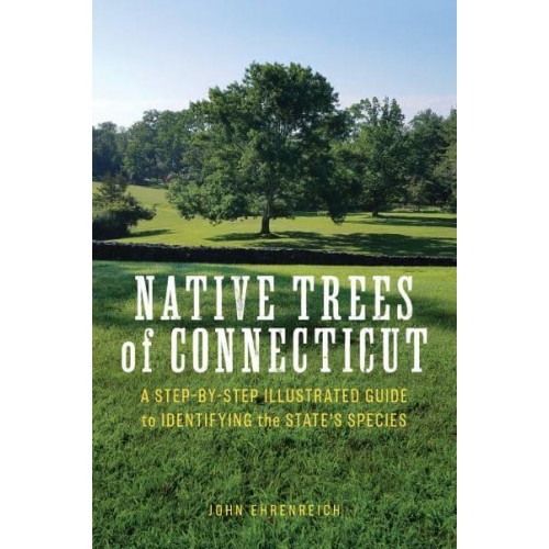 Native Trees of Connecticut A Step-by-Step Illustrated Guide to Identifying the State's Species