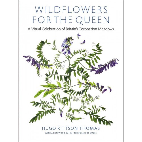 Wildflowers for the Queen A Visual Celebration of Britain's Coronation Meadows